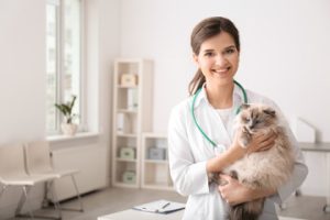 Animal Hospital